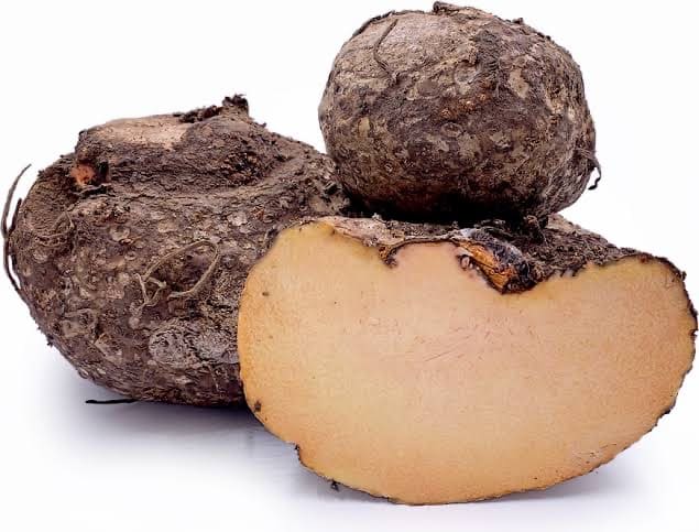 Elephant Yam